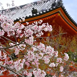 3* アパートホテル Sakura 祇園北